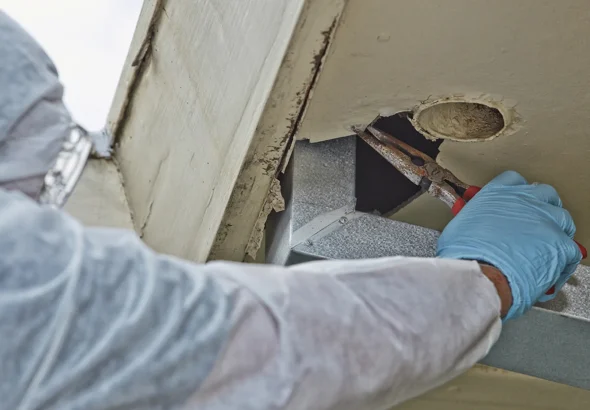 asbestos removal nowra