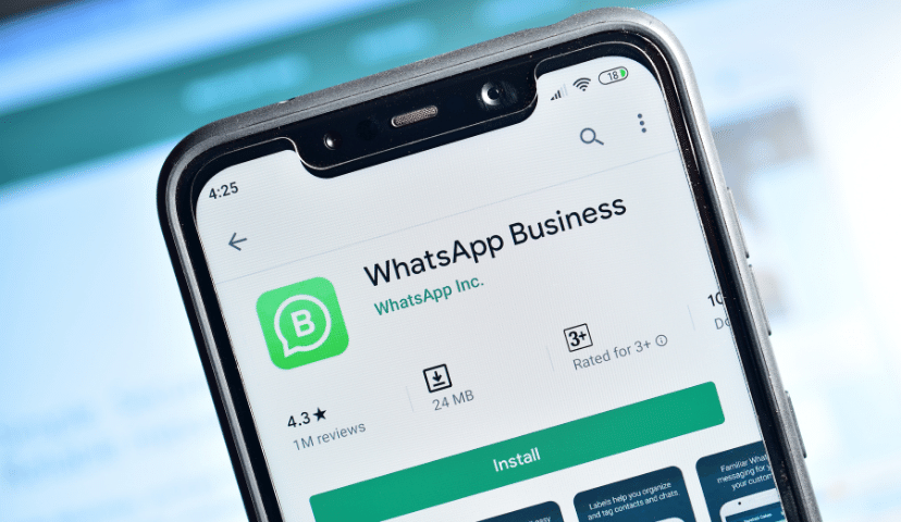 using WhatsApp Business