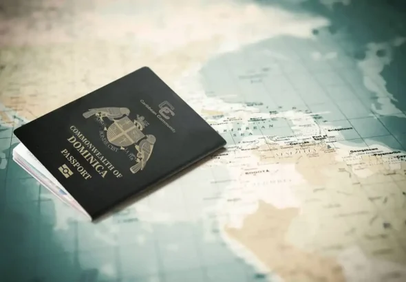 Considerate Legal Requirements and Eligibility Criteria Across Citizenship by Investment Programs